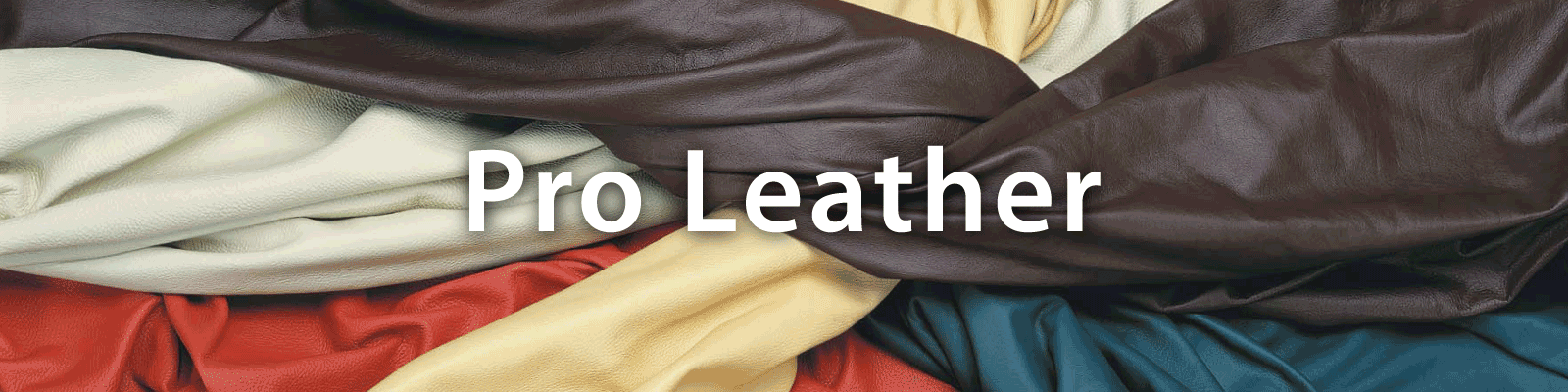 Professional Leather
