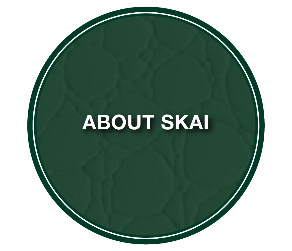 What is Skai