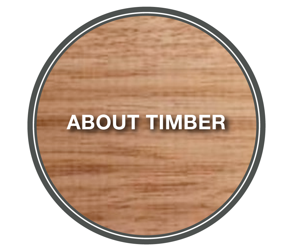 About Timber